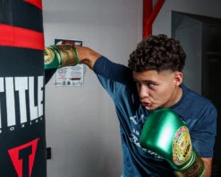 WBC By TITLE Boxing Green Belt Bag Gloves -Nike Sales Shop WGBBGGNGD 1