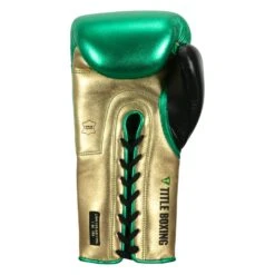 WBC By TITLE Boxing Green Belt Sparring Gloves -Nike Sales Shop WGBSG GN GD BK 4