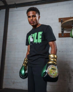 WBC By TITLE Boxing Green Belt Sparring Gloves -Nike Sales Shop WGBSGBKGD 2