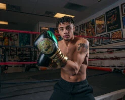 WBC By TITLE Boxing Green Belt Sparring Gloves -Nike Sales Shop WGBSGBKGN 1