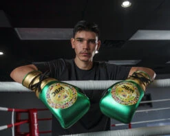 WBC By TITLE Boxing Green Belt Sparring Gloves -Nike Sales Shop WGBSGGDGNBK 2