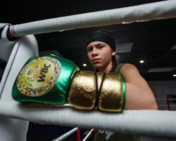 WBC By TITLE Boxing Green Belt Sparring Gloves -Nike Sales Shop WGBSGGNBK 2