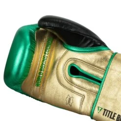 WBC By TITLE Boxing Green Belt Training Gloves 1.0 28 WBC By TITLE Boxing Green Belt Training Gloves 1.0 -Nike Sales Shop WGBTG GN GD BK 5