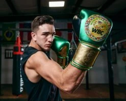 WBC By TITLE Boxing Green Belt Training Gloves 1.0 24 WBC By TITLE Boxing Green Belt Training Gloves 1.0 -Nike Sales Shop WGBTGGNGDBK 3