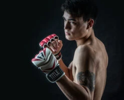 TITLE MMA Command Pro Fight Gloves -Nike Sales Shop XMCPFG RD