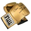 TITLE Boxing Autograph Gloves -Nike Sales Shop ag2 gd 1 1