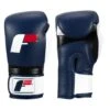 Fighting Force Training Gloves