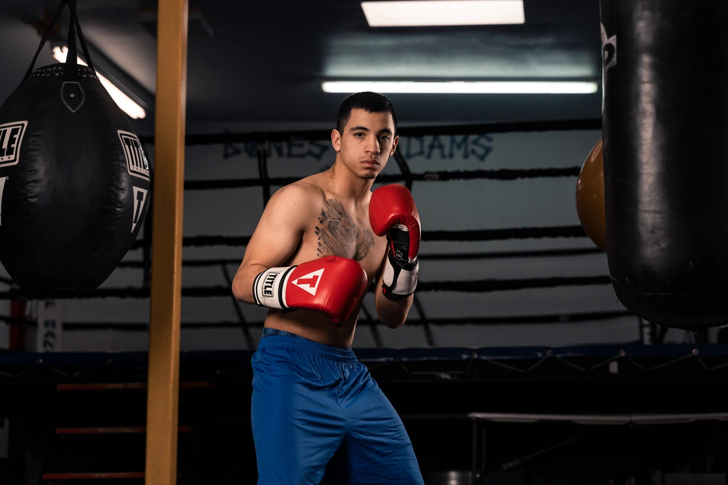 TITLE Boxing Premium Leather Performance Training Gloves 4 TITLE Boxing Premium Leather Performance Training Gloves - Image 2