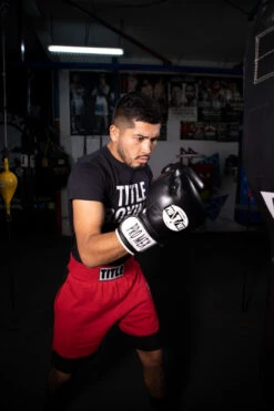 Pro Mex Professional Bag Gloves V3.0 -Nike Sales Shop pmhbg3 bk 2