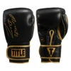 TITLE Boxing Roberto Duran Signature Leather Bag Gloves -Nike Sales Shop rdbg 01