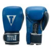 TITLE Boxing Royalty Leather Bag Gloves -Nike Sales Shop rybg ry nv 01