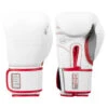 TITLE Boxing Gel Special Edition Bag Gloves -Nike Sales Shop setgbg sv wh rd 01