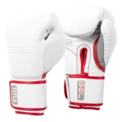 TITLE Boxing Gel Special Edition Bag Gloves -Nike Sales Shop setgbg sv wh rd 02