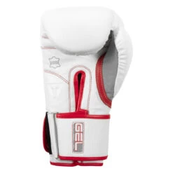 TITLE Boxing Gel Special Edition Bag Gloves -Nike Sales Shop setgbg sv wh rd 04