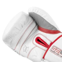 TITLE Boxing Gel Special Edition Bag Gloves -Nike Sales Shop setgbg sv wh rd 05