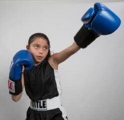 TITLE Boxing Aerovent Elite Amateur Set - Original -Nike Sales Shop tabs 1