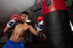 TITLE Boxing USA Leather Bag Gloves -Nike Sales Shop usabg replace the current