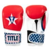 TITLE Boxing USA Leather Bag Gloves -Nike Sales Shop usabg 01