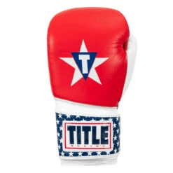TITLE Boxing USA Leather Bag Gloves -Nike Sales Shop usabg 03