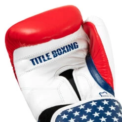 TITLE Boxing USA Leather Bag Gloves -Nike Sales Shop usabg 05