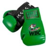 WBC By TITLE Boxing Autograph Gloves 2.0 -Nike Sales Shop wbcag2 gn 01