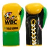 WBC By TITLE Boxing Jose Sulaiman Leather Gloves 2 WBC By TITLE Boxing Jose Sulaiman Leather Gloves -Nike Sales Shop wbcjsg gd bk 01