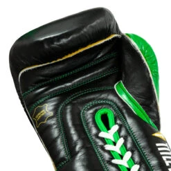 WBC By TITLE Boxing Sparring Gloves -Nike Sales Shop wbcsg bk gn 05