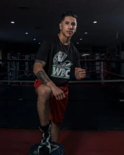 WBC By TITLE Boxing Flag Tee -Nike Sales Shop wbct2