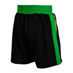 WBC By TITLE Boxing Sweat Shorts -Nike Sales Shop wbctts bk gn 2