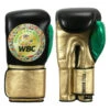 WBC By TITLE Boxing Green Belt Bag Gloves 2 WBC By TITLE Boxing Green Belt Bag Gloves -Nike Sales Shop wgbbg bk gd gn 1 2