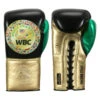 WBC By TITLE Boxing Green Belt Sparring Gloves -Nike Sales Shop wgbsg bk gd gn 1 1