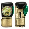 WBC By TITLE Boxing Green Belt Training Gloves 1.0 1 WBC By TITLE Boxing Green Belt Training Gloves 1.0 -Nike Sales Shop wgbtg bk gd gn 1 1