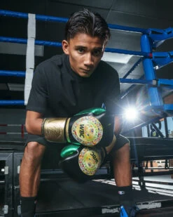 WBC By TITLE Boxing Green Belt Training Gloves 1.0 22 WBC By TITLE Boxing Green Belt Training Gloves 1.0 -Nike Sales Shop wgbtg bk 2 1